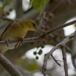 _MG_2280-Bearbeitet
