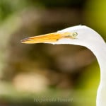 _MG_2319