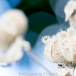 _MG_6806-Bearbeitet