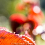 _MG_6828