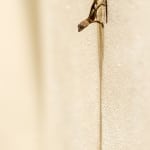 _MG_7136-Bearbeitet