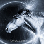 Spacehorse