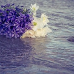 _MG_4383-Edit