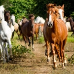 _MG_3289-Bearbeitet