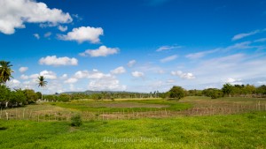 _MG_4497-Bearbeitet