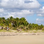 _MG_4560