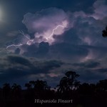 _MG_5538