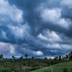 _MG_5944