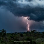 _MG_5959