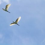 _MG_6225-Bearbeitet