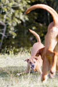 _MG_2652-Bearbeitet