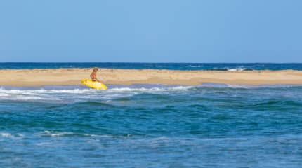 Kite & Surf