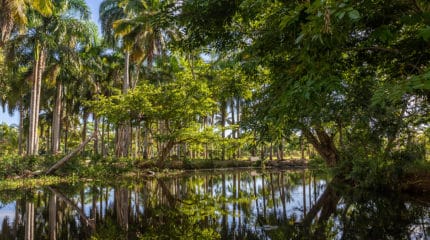 Rio la Catalina