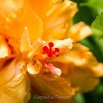 _MG_8548-358