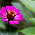 _MG_8556-359