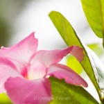 _MG_8570-360